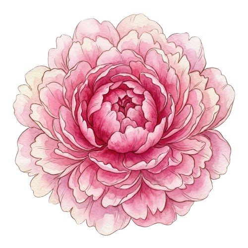 Peony