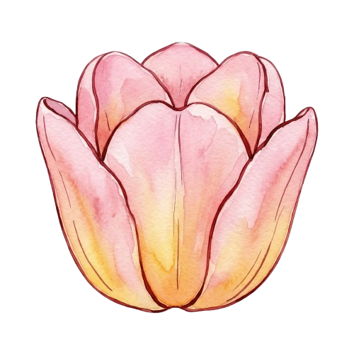 Tulip